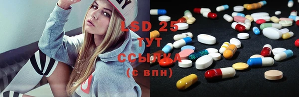 индика Беломорск