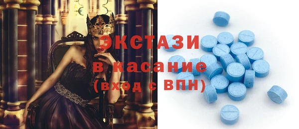 индика Беломорск