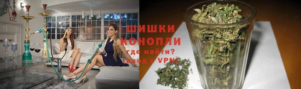 гашик Белоозёрский