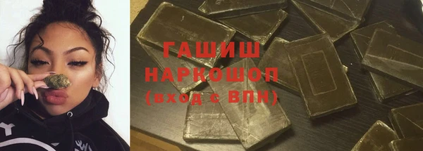 индика Беломорск