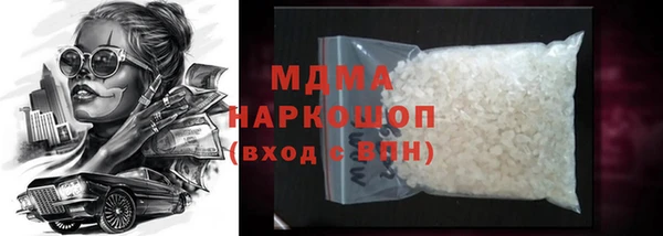 индика Беломорск
