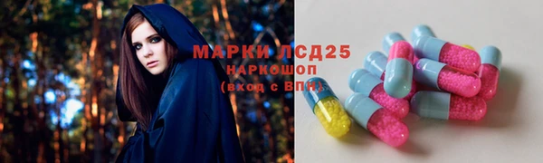 гашик Белоозёрский