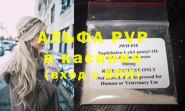 индика Беломорск