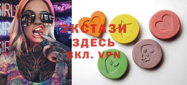 индика Беломорск