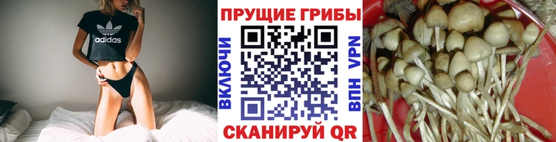 Галлюциногенные грибы Cubensis  как найти закладки  Полтавская 